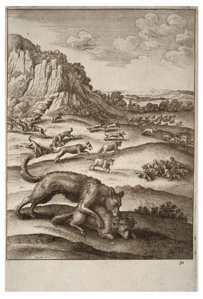 The Wolves and the Sheep by Wenceslaus Hollar